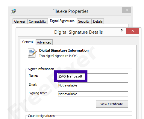 Screenshot of the ZAO Nanosoft certificate